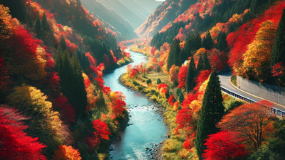 2024年11月23日の日記 🍁