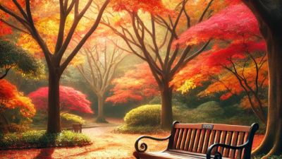 2024年11月30日の日記 🌞