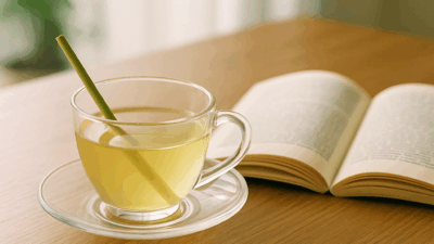 2025年8月23日の日記 🌿🍃