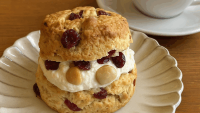 🎄2025年12月1日の日記✨